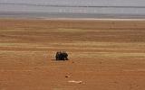 TANZANIA - Lake Manyara National Park - 35